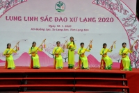 Hơn 1.000 cây đào đẹp tham dự Hội chợ hoa đào xã Quảng Lạc